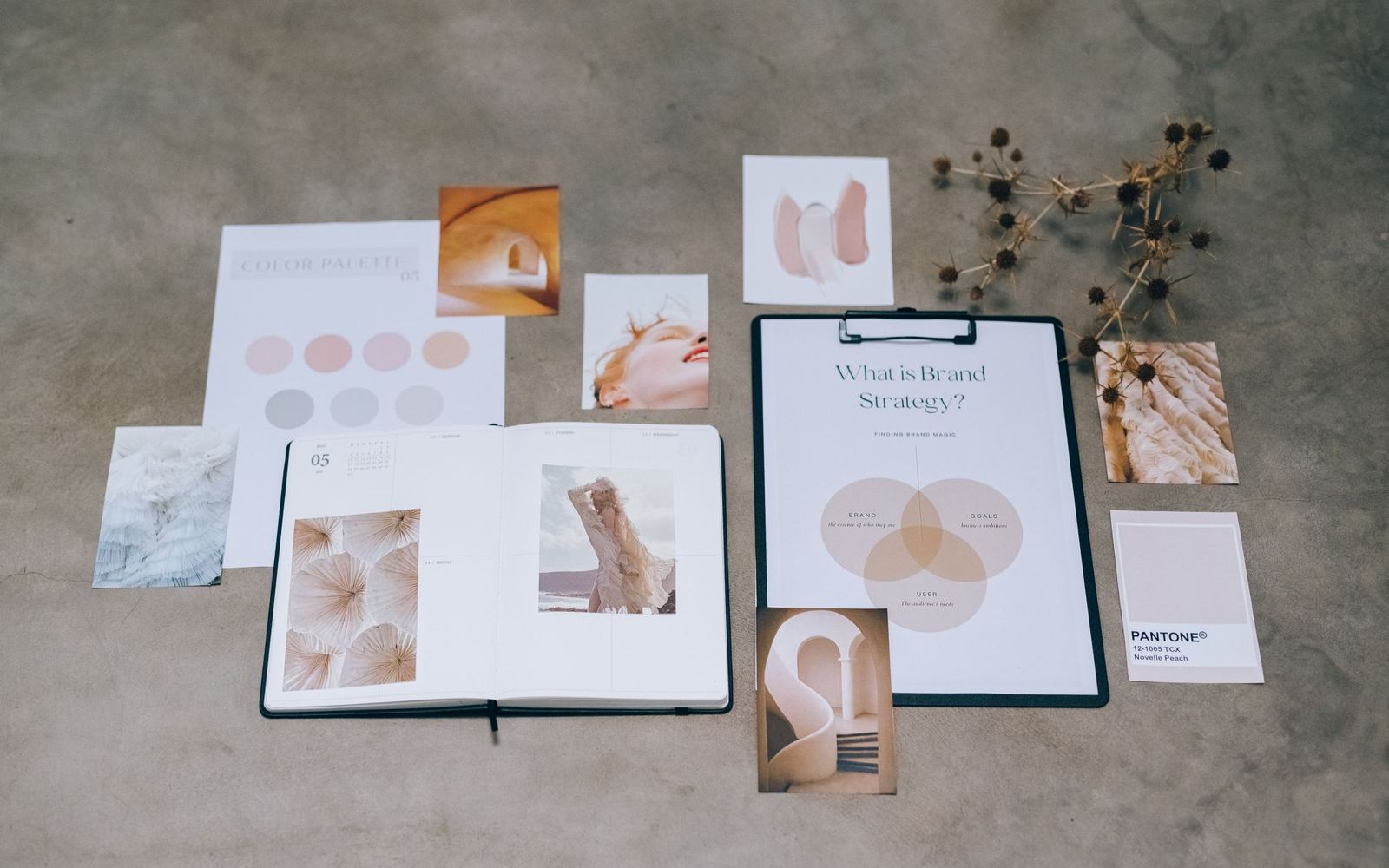 Brand strategy papers and color studies laid out on a table